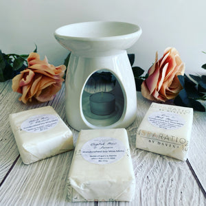 Wax Melt Starter Kit